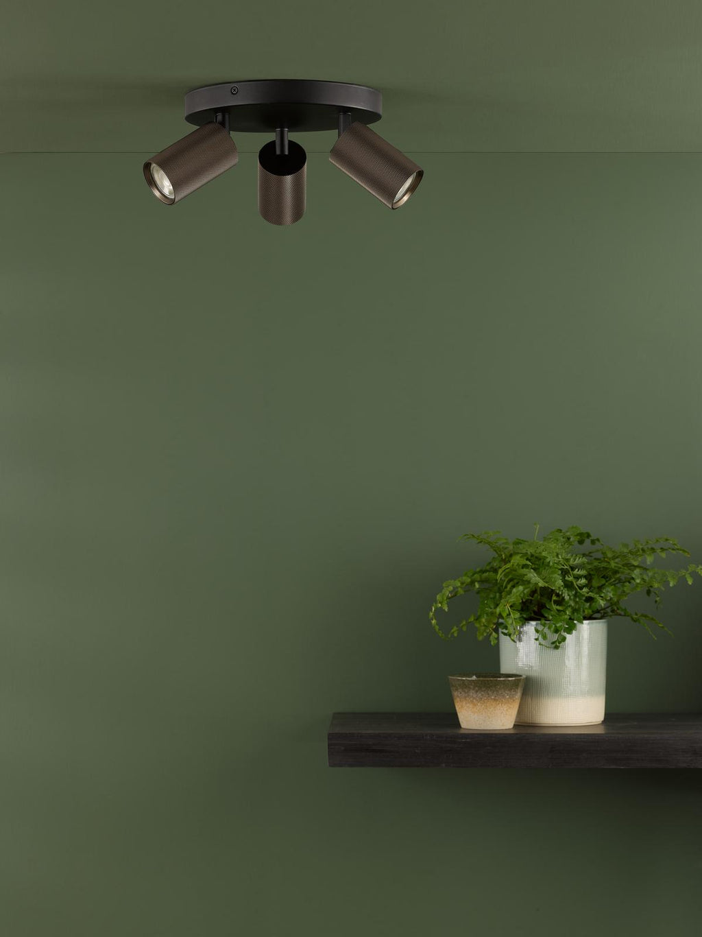 Lifestyle Images 2