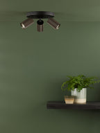 Lifestyle Images 2