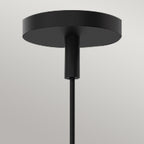 ALM-REMYCK-P-BK Alora Mood Remyck 1 lt Pendant Matte Black