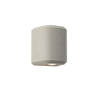 1513002 Brixham Outdoor Single Wall Light Matt Concrete