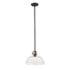 ELS-HAMPTON-P-GR 1 Light Hampton Duo-Mount Pendant Graphite
