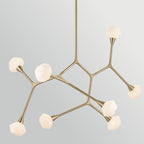 KL-CASSIUS-8P-CPZ Cassius 8 Light Pendant Champagne Bronze