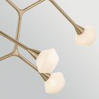 KL-CASSIUS-8P-CPZ Cassius 8 Light Pendant Champagne Bronze