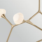 KL-CASSIUS-8P-CPZ Cassius 8 Light Pendant Champagne Bronze