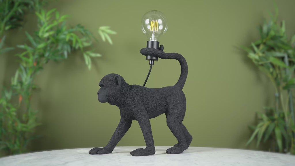 106791 Capuchin 1 Light Table Lamp Matt Black