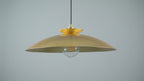 104011 Pendant 1 Light Hammered Brass And Brass Plate