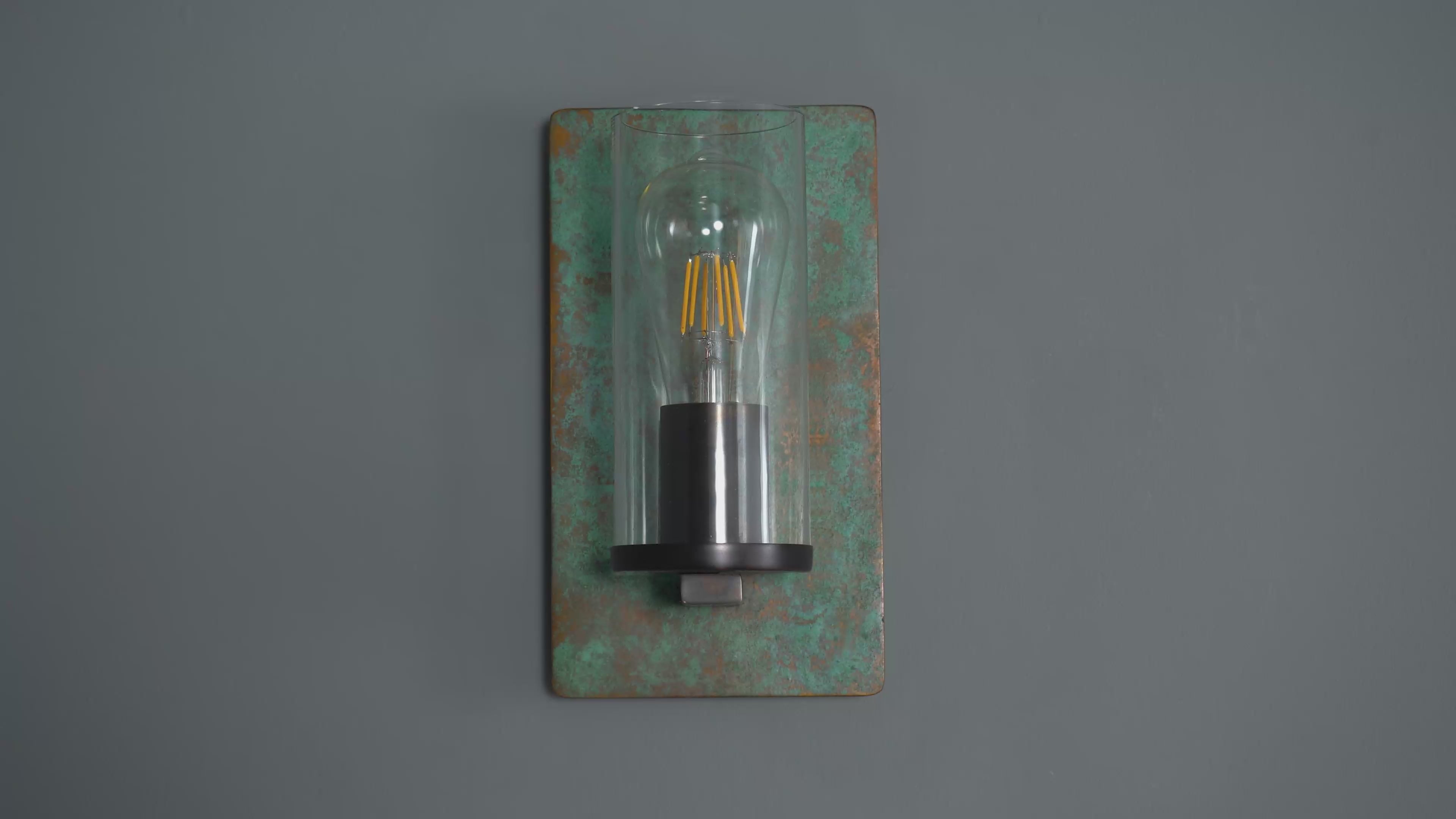 106721 Wall 1 Light Verdigris Bronze Plate And Clear Glass