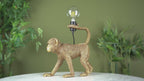 106792 Capuchin 1 Light Table Lamp Vintage Gold Paint And Matt Black