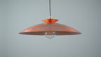 104010 Pendant 1 Light Hammered Copper And Copper Plate