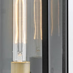 QN-CATALINA-M Catalina 1 Light Outdoor Medium Wall Lantern Black with Burnished Bronze accents
