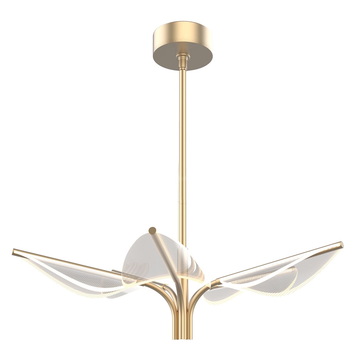 QN-FLORIANA-P-S-NBR Floriana 5 Leaf LED Chandelier Small Natural Brass