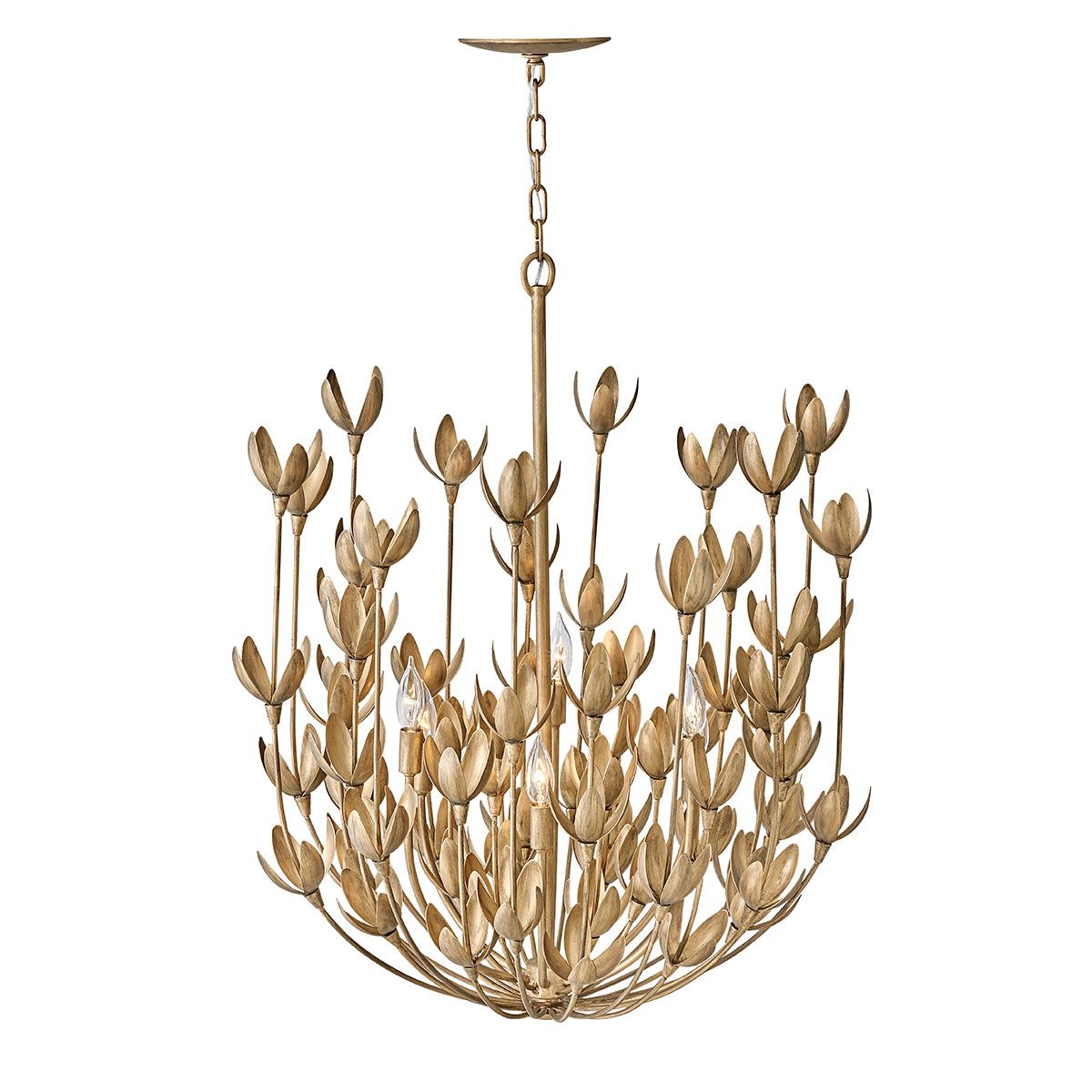 QN-FLORA6-GD Flora 6 Light Chandelier Burnished Gold