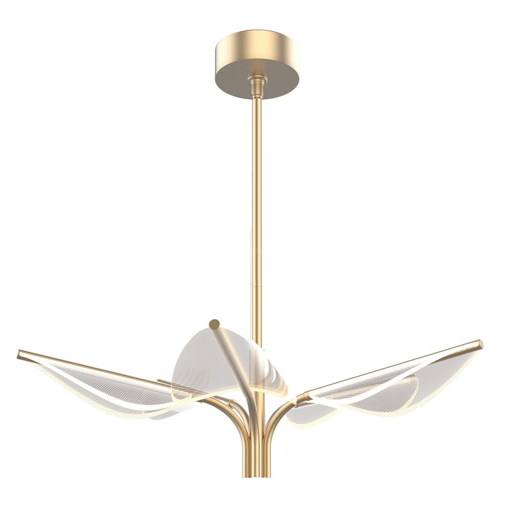 QN-FLORIANA-P-S-NBR Floriana 5 Leaf LED Chandelier Small Natural Brass