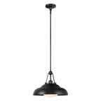 QN-PALMETTO-P-M-UBZ Palmetto 1 Light Pendant Urban Bronze