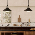 QN-PALMETTO-P-M-UBZ Palmetto 1 Light Pendant Urban Bronze