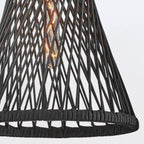 QN-TWYLA-1P-BK Twyla 1 Light Pendant Black